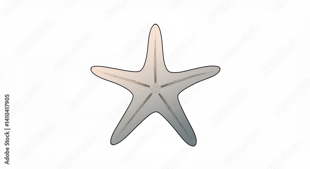 Obraz premium Starfish illustration graphic design