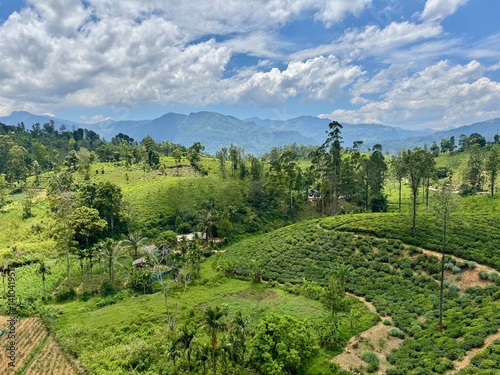 mountain landscape in the summer