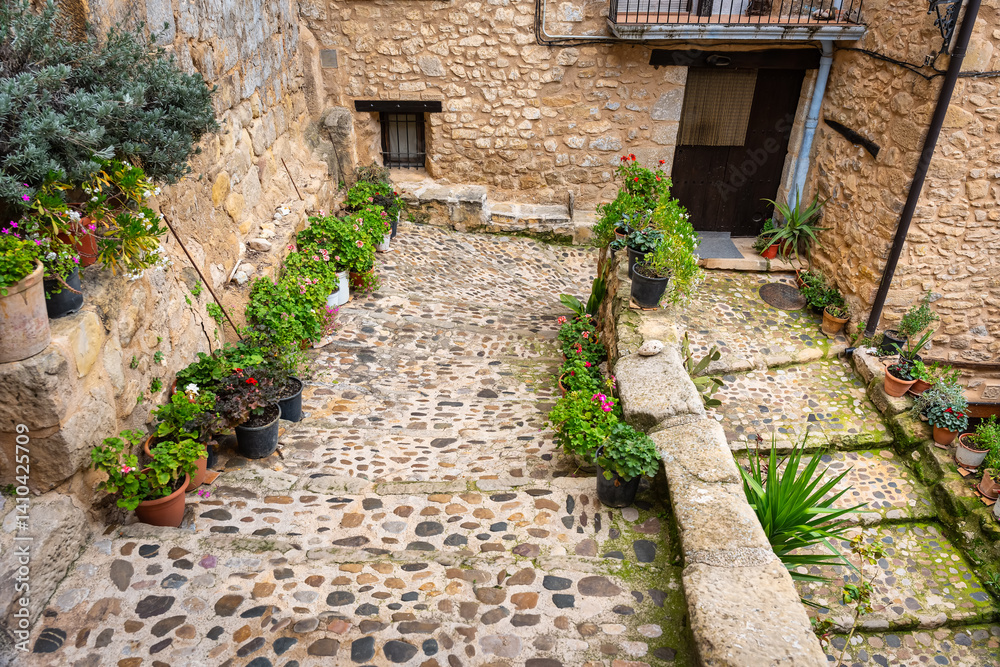Narrow alley with cobbled staircases and pots with colorful plants and flowers, Valderrobres, Teruel.