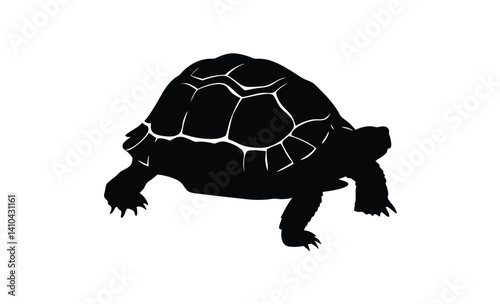 Turtle silhouette , Tortoise walking graphic, Sea reptile vector, Turtle poses on white background