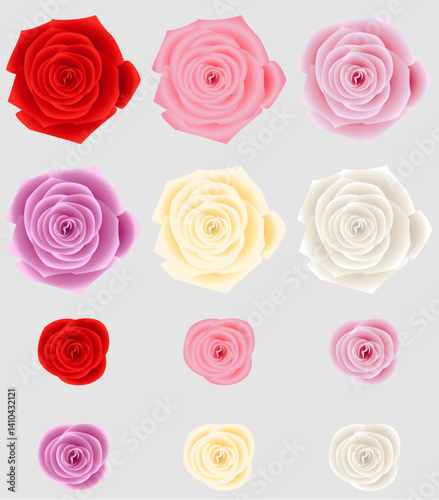 Set of colorful rose flowers. Vector illustration. Isolated on white background.