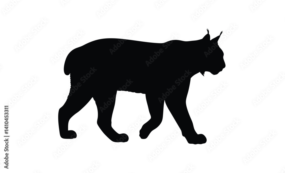 Bobcat silhouette, Wild cat icon, Bobcat animal graphic, Predator illustration on white background Bobcat silhouette, Wild cat icon, Bobcat animal graphic, Predator illustration on white background