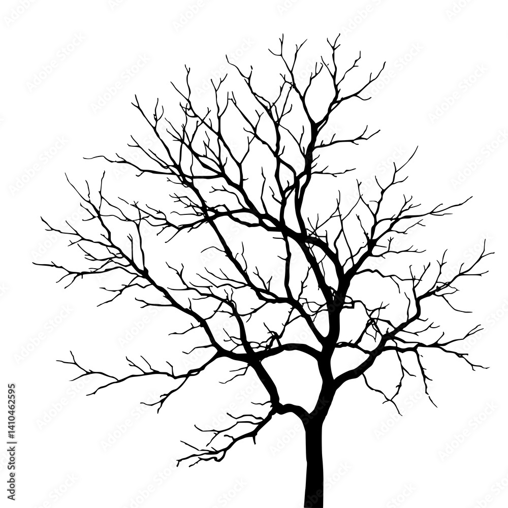 Fototapeta premium Leafless Tree Silhouette: A stark, minimalist silhouette of a leafless tree against a white background, evoking a sense of winter, dormancy, or resilience. 
