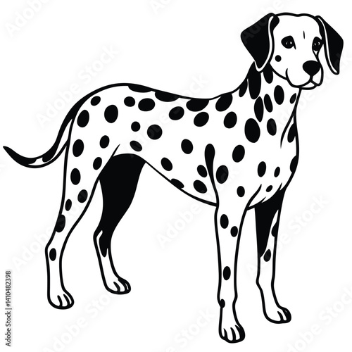 Cute black and white great dane puppy, a spotted domestic canine breed