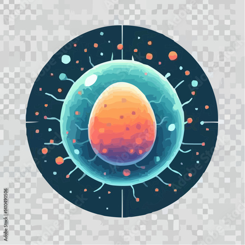 
Fertilization and origin of a human embryo 16