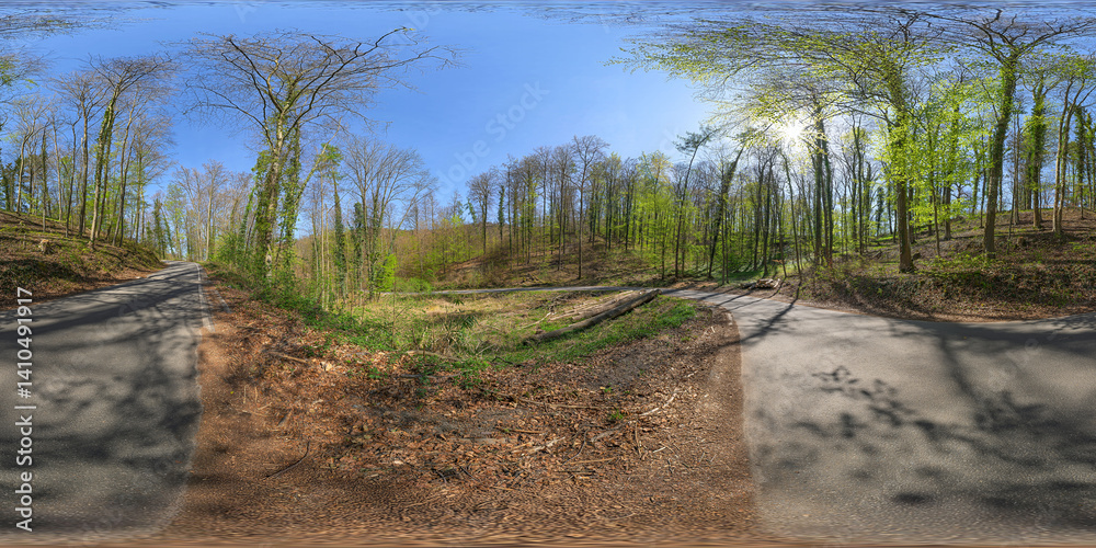 forest path 13k 360° vr panorama equirectangular environment