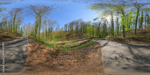 Obraz na płótnie forest path 13k 360° vr panorama equirectangular environment w salonie