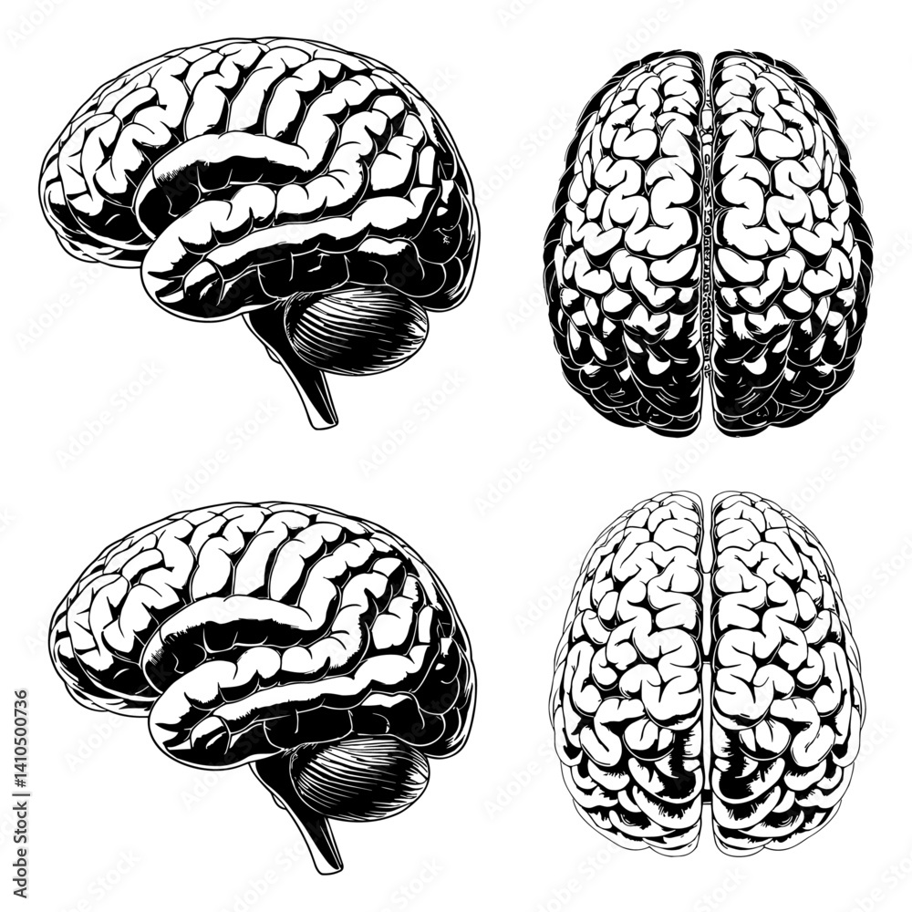 Fototapeta premium Set of human brain vector illustration