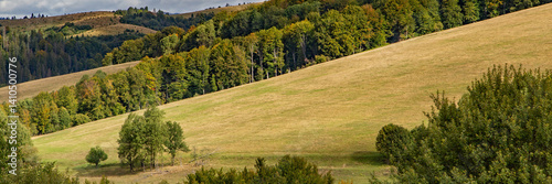 Obraz na płótnie Vibrant hillside with golden grass and lush greenery in a tranquil landscape during autumn w salonie