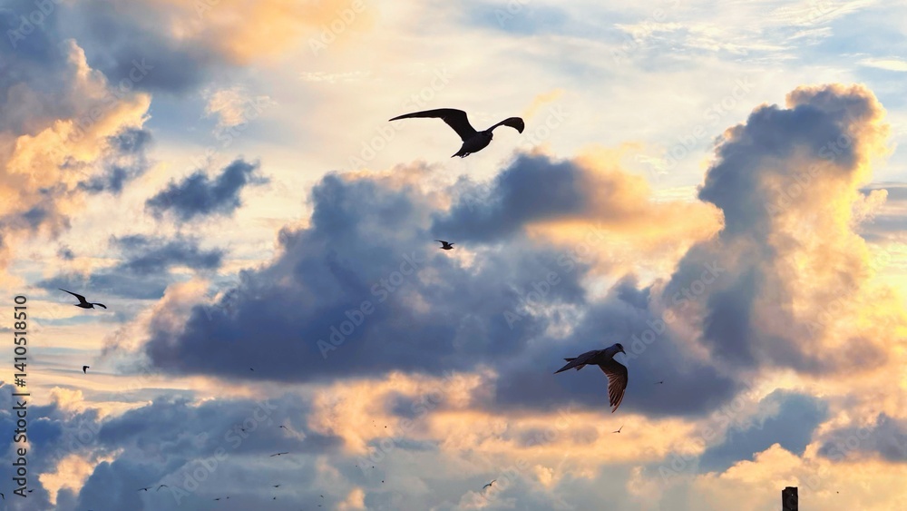 Fototapeta premium A flock of birds flies in the beautiful sky. Birds fly back to their nests in the evening.