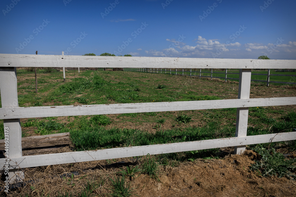 Fototapeta premium Empty Rural Paddock with Wooden Fence