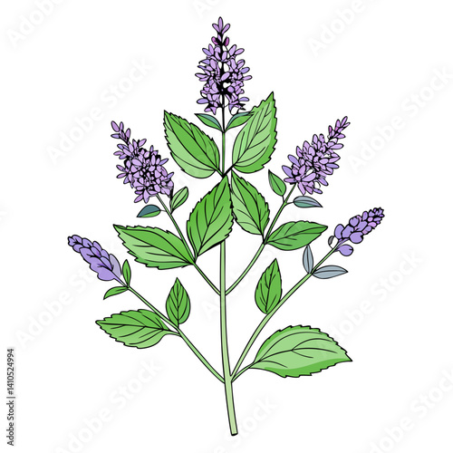  Artistic Anise Hyssop Bouquet Floral Artwork