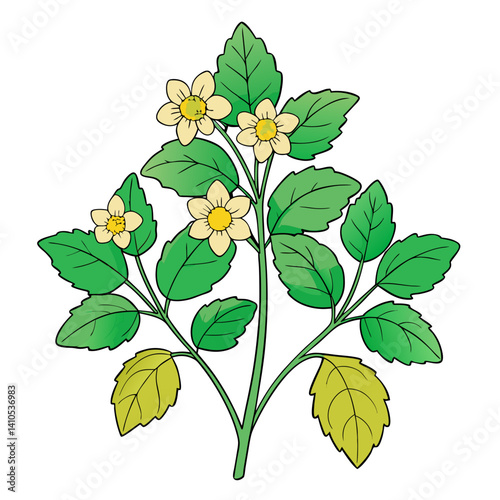  Lovely Lemon Balm Bouquet Floral Design