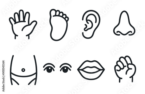outline vector icons of baby body parts: baby hand, foot, ear, nose, belly, eyes, mouth, tiny fingers. set of line style icons in a modern, minimalist design.