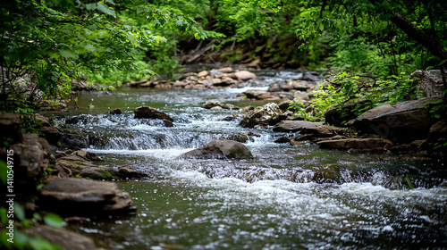 Flowing Stream Through Rocks in Lush Forest