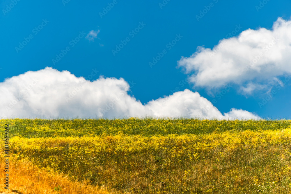 Obraz premium rural countryside landscape during a sunny summer day inside Val d'Agri, Basilicata