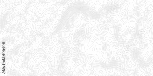 White wave paper curved reliefs abstract background. Lines Topographic contour lines map seamless pattern. Landscape geo topographic map background.