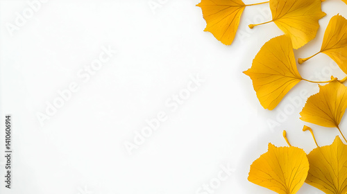 Golden Autumn Leaves Against White Background