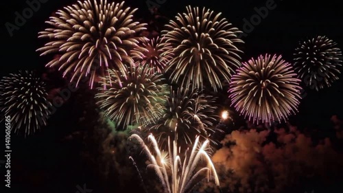 Fireworks exploding illuminating night sky