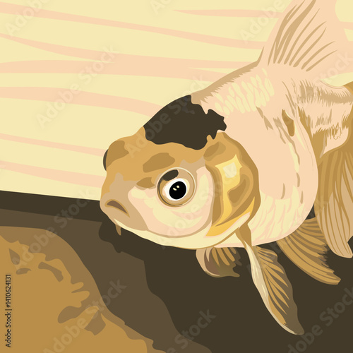 Giant pink black eye Oranda goldfish vector illustration featuring soft pink hues and striking black eyes, perfect for aquatic-themed designs and digital artwork.