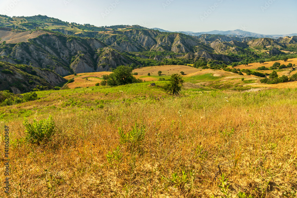 Fototapeta premium rural countryside landscape during a sunny summer day inside Val d'Agri, Basilicata