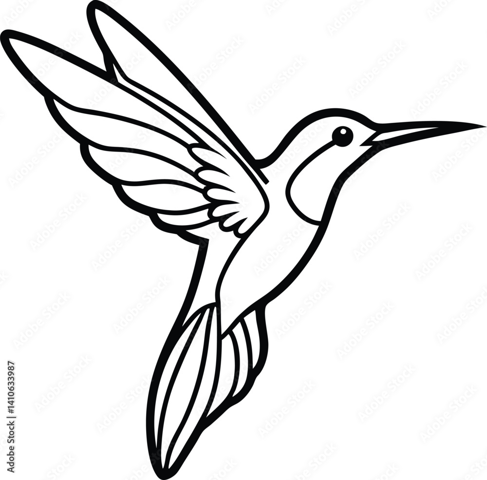 Obraz premium flying hummingbird vector