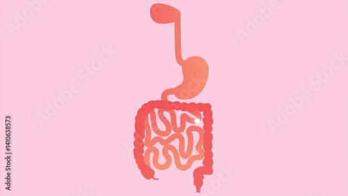 The process of digestion. Minimal modern seamless motion design. Animation 2D