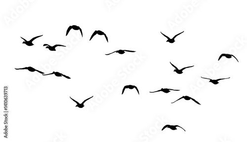 flock of birds silhouette isolated on transparent clear background