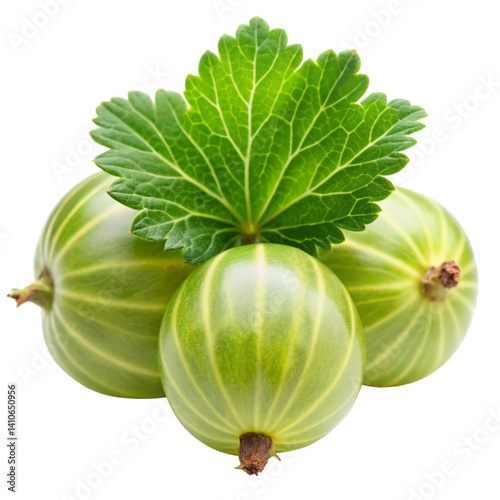 Gooseberry isolated on white background