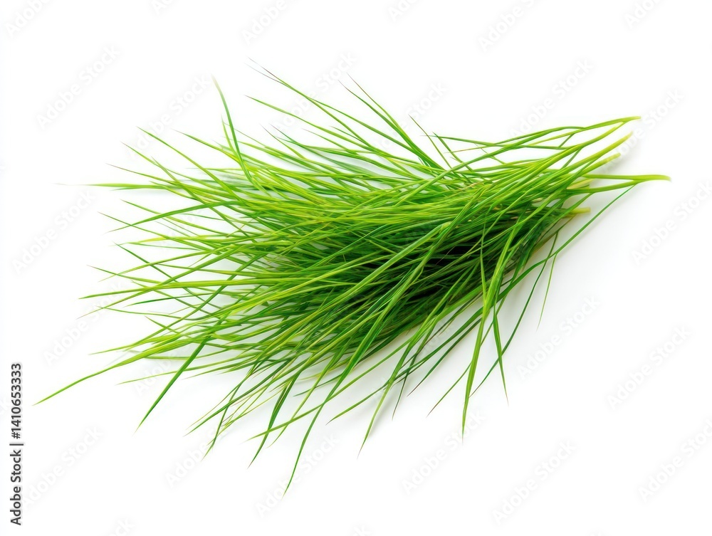 Fototapeta premium Green grass with sharp defined blades isolated on a white background creating a clean and natural aesthetic