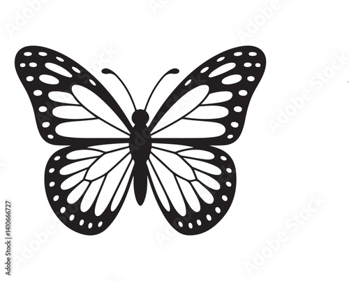 butterfly vector on white background