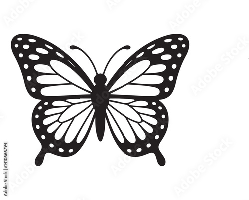 butterfly vector isolated on white