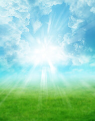 Spring grass and sky background