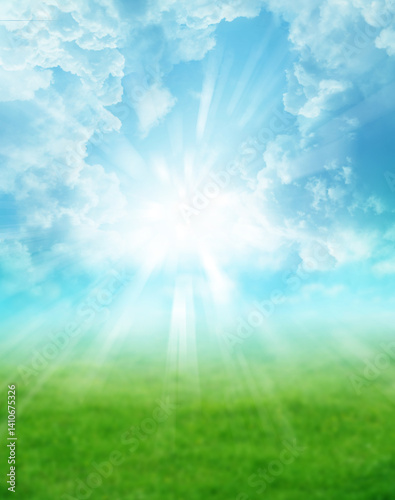 Spring grass and sky background