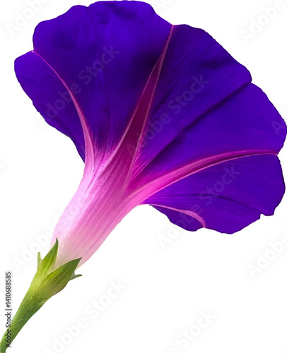 violet floral flower