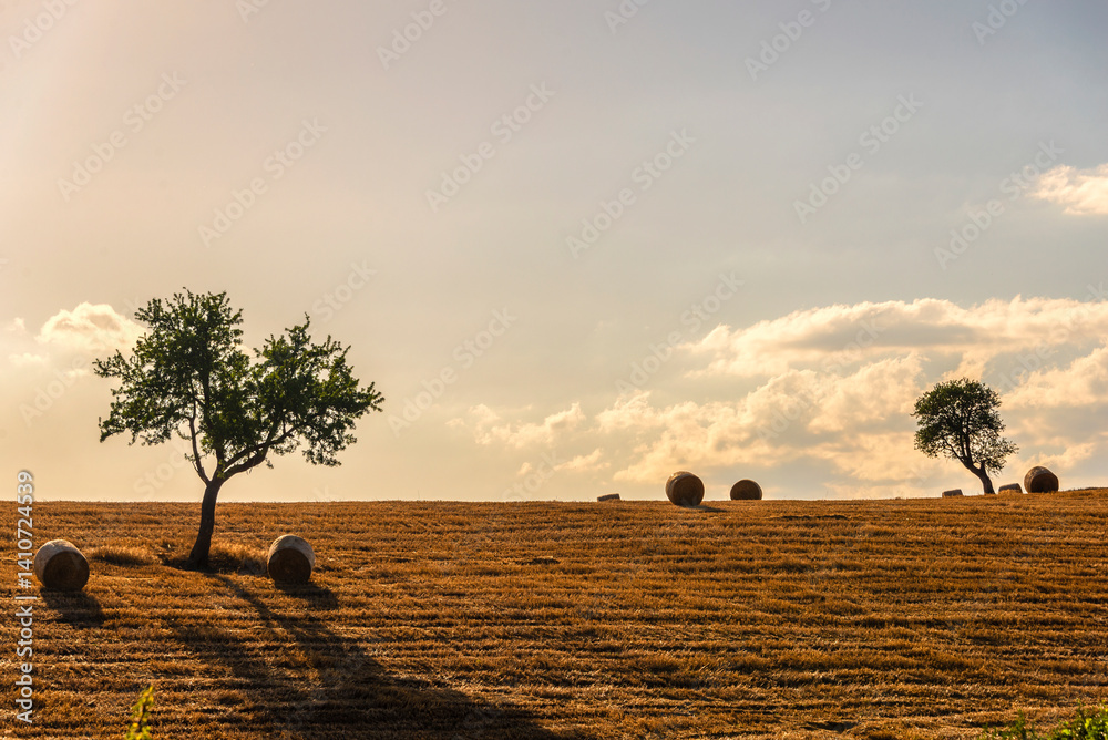 Obraz premium rural countryside landscape during a sunny summer day inside Val d'Agri, Basilicata