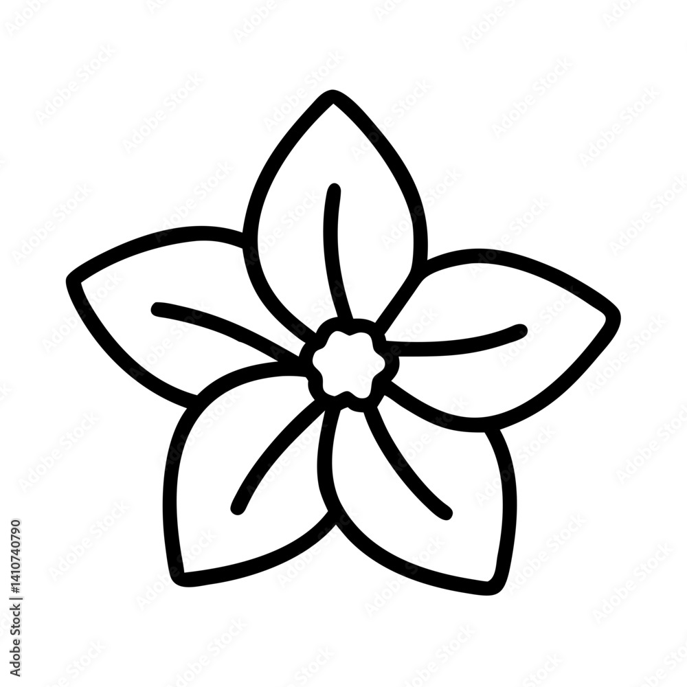 jasmine flower line drawn vector art - illustration jasmine flower isolated transparent background jasmine flower line drawn vector art - illustration jasmine flower isolated transparent background