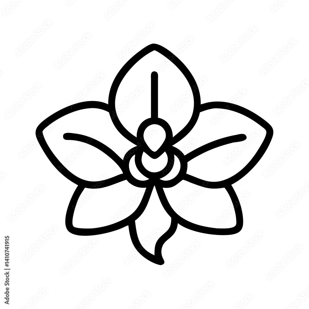 orchid flower line drawn vector art - illustration orchid flower isolated transparent background orchid flower line drawn vector art - illustration orchid flower isolated transparent background