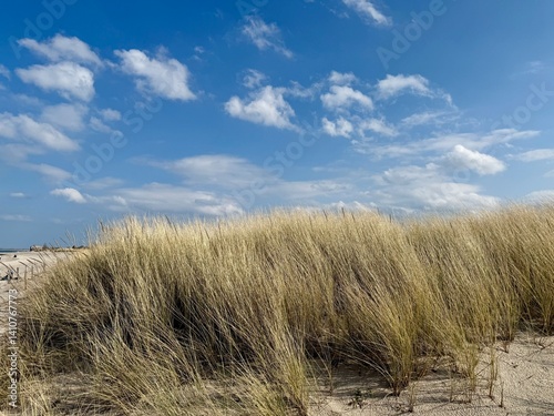 Dune Landscape near Heiligenhafen on the Baltic Sea