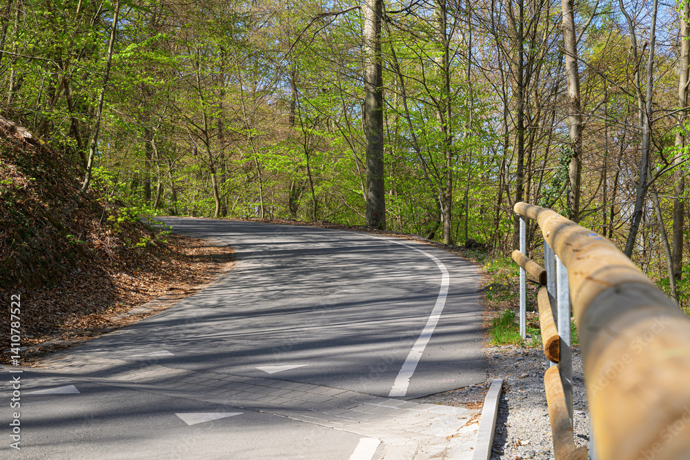 curved forest road spring germany no cars empty outdoors