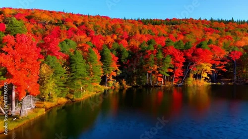 Drone shot of a peaceful lake reflecting a colorful autumn landscape, natures beauty at its finest