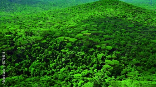 Aerial view of a green planet Earth surrounded by a dense, lush forest, highlighting environmental harmony and nature's beauty.