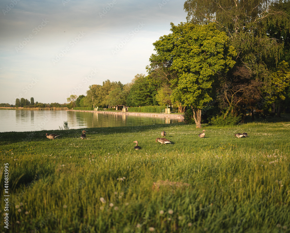 View on lake Balaton in sunset