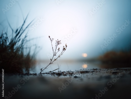 Delicate plant stem with ti...
