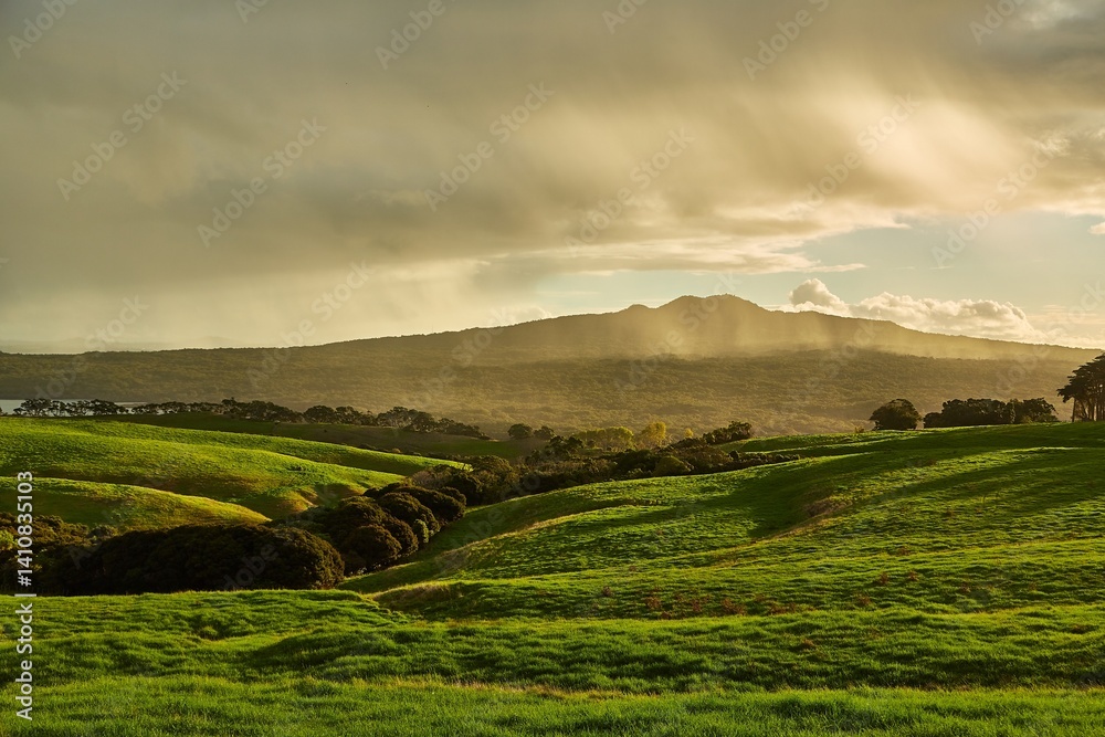 Green landscape with coming rain