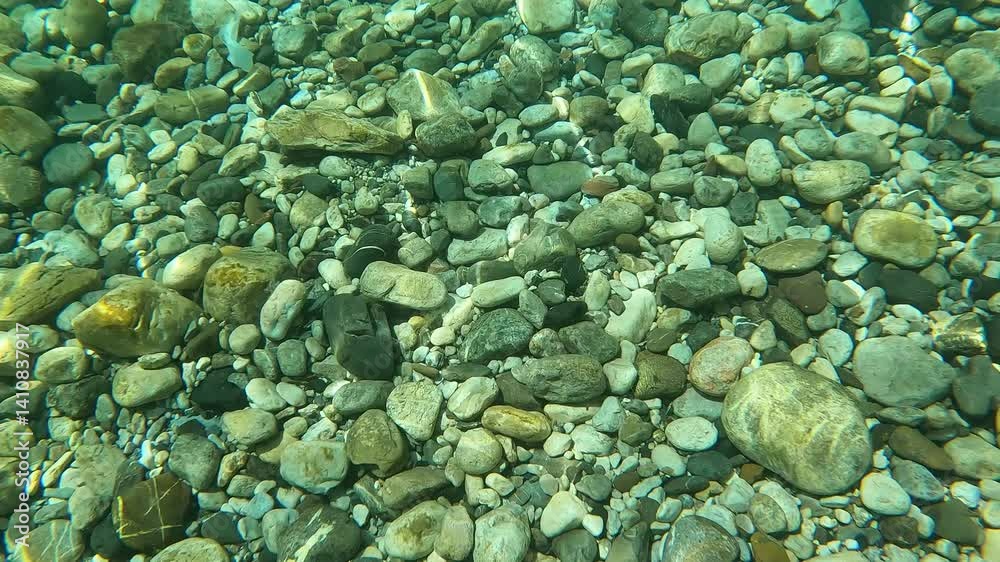Beautiful rock or pebbles background. Beautiful round rocks in the crystal clear water background. Shala river, Albania
Beautiful rock or pebbles background. Beautiful round rocks in the crystal clear water background. Shala river, Albania
