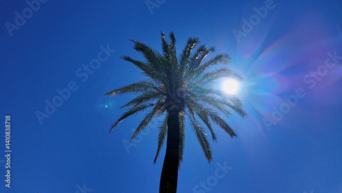 Sun shining through palm tree in Marbella, Spain, during summer vacation