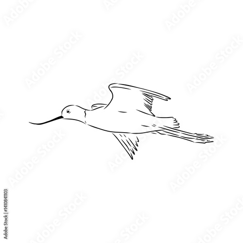 sandpiper on the beach vector illustration