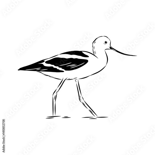 sandpiper on the beach vector illustration