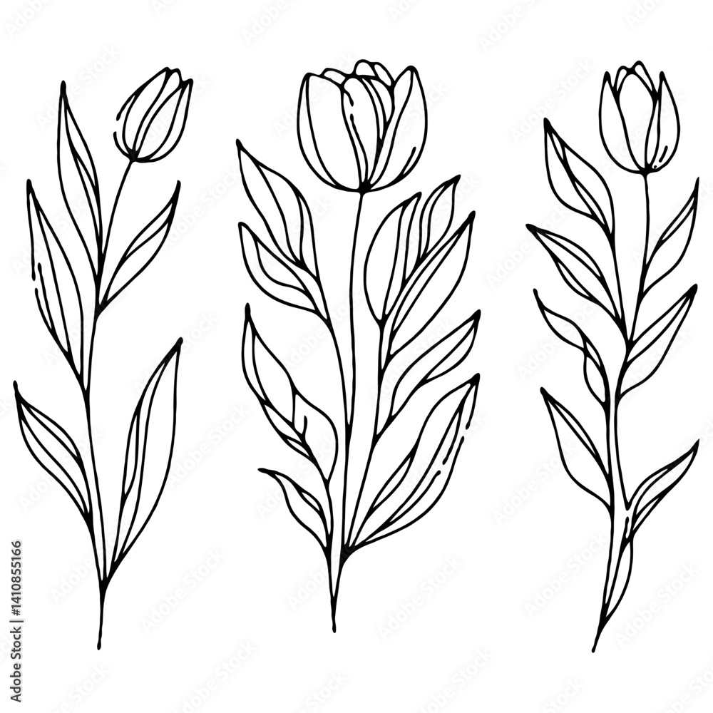 Obraz premium Set of outline tulips, doodle floral. Hand drawn snowdrop Botanical drawing. Detailed line art illustration. Simple Stylized Art, daffodils flowers. Elegant Black and White blossom.